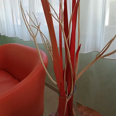 Hotel Anita Sul Lungomare Gatteo