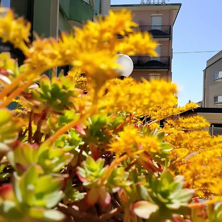 Отель Anita Sul Lungomare Gatteo
