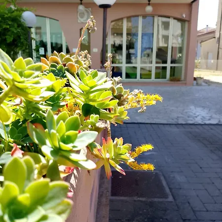 Anita Sul Lungomare 3* Gatteo