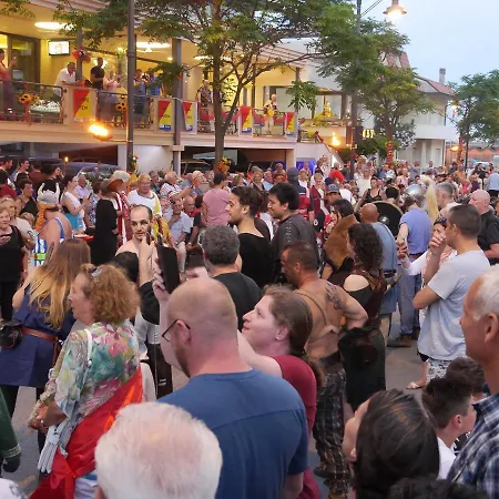 Hotel Anita Sul Mare 3*